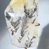 DENDRITIC TREE IN QUARTZ FREEFROM