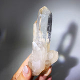 Amphibole with rainbow crystal cluster