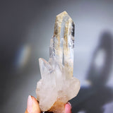 Amphibole with rainbow crystal cluster