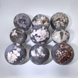 BLACK FLOWER AGATE SPHERES WHOLESALE