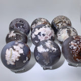BLACK FLOWER AGATE SPHERES WHOLESALE