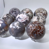 BLACK FLOWER AGATE SPHERES WHOLESALE