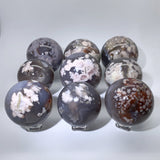 BLACK FLOWER AGATE SPHERES WHOLESALE