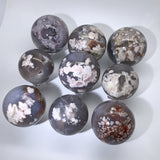 BLACK FLOWER AGATE SPHERES WHOLESALE