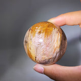 AMPHIBOLE SPHERE