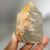 AMPHIBOLE WITH QUARTZ IN QUARTZ TOWER