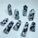 SNOW OBSIDIAN TOWER POINT