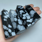 SNOW OBSIDIAN TOWER POINT